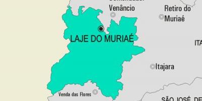 Žemėlapis Laje padaryti Muriaé savivaldybė